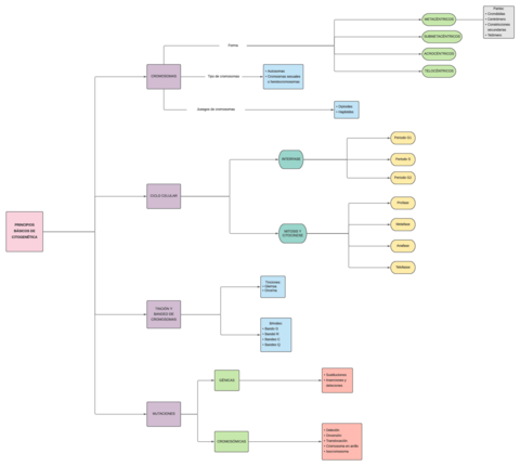 T.11 Principios básicos de citogenética (esquema).pdf