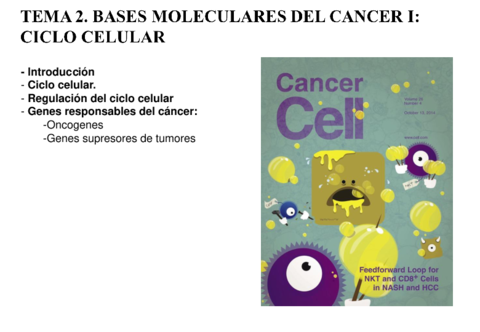 Tema-2-Ciclo-celular-cancer.pdf