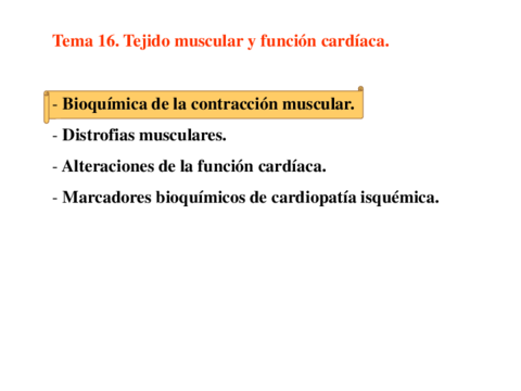 Tema-16-TEJIDO-MUSCULAR-Y-FUNCION-CARDIACA.pdf