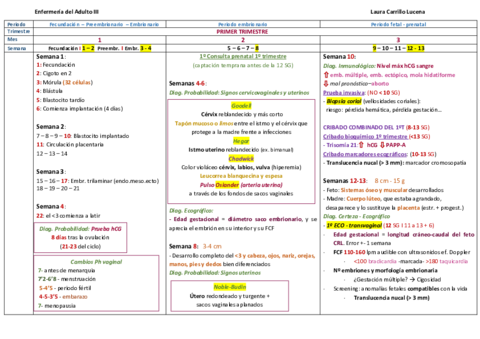 ESQUEMA-ADULTO-III-MATERNIDAD.pdf