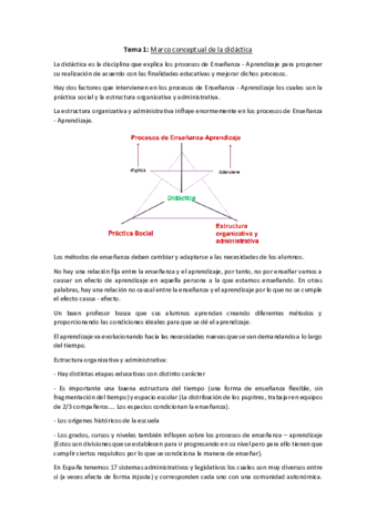 Tema-1-Didactica-general.pdf