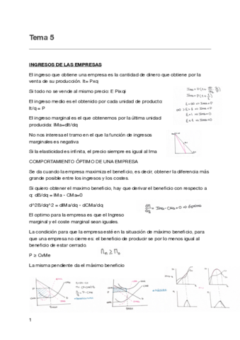 Tema-5.pdf