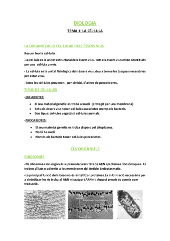 La-cel-lula-DEFINITIU.pdf