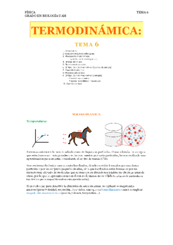 FISICA-6-TERMODINAMICA.pdf