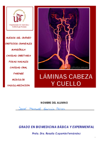 Laminas-4-Cabeza-y-Cuello.pdf