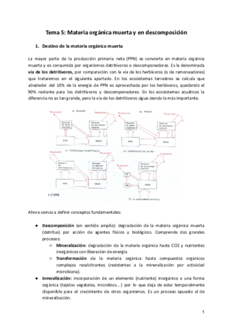 Tema-5-Completo.pdf