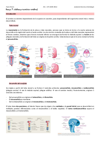 Anatomia-T7.pdf