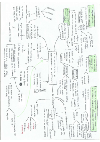 NIETZSCHE-esquema-carlos-blanco.pdf