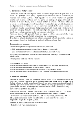 Derecho-procesal.pdf