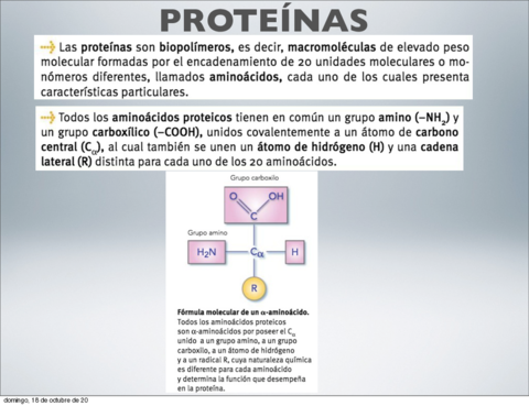 presentacion-proteinas.pdf