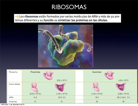 presentacion-4-citologia.pdf