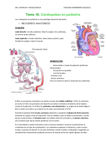 Tema-16.pdf