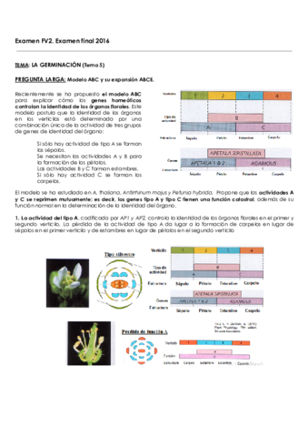 Examenes-finales-FV2.pdf
