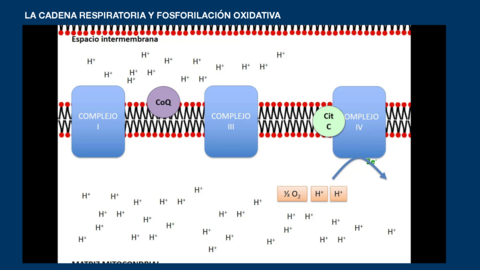 presentacion-2-metabolismo.pdf