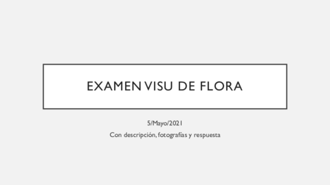 Examen-visu-de-flora.pdf