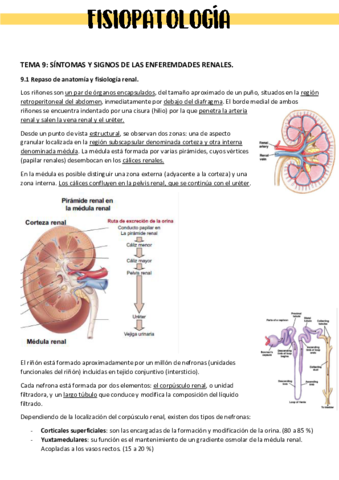 APUNTES-FISIO-II-TEMAS-9-13.pdf