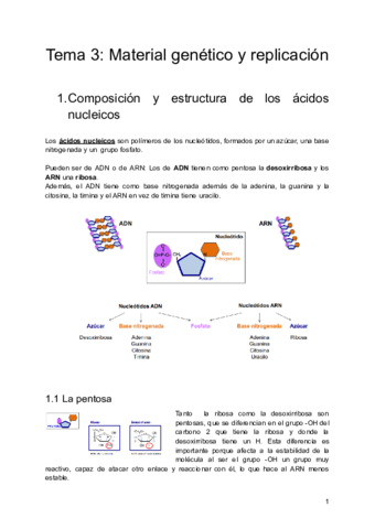 Tema-3-Material-genetico-y-replicacion.pdf
