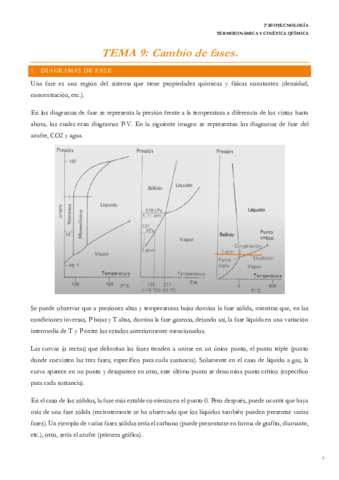 T9. Cambios de fase