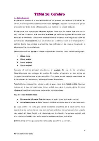 TEMA-16.pdf