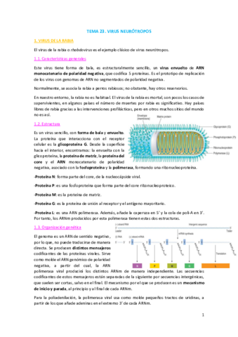 TEMA-23.pdf