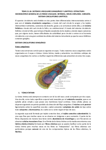 TEMA 21-24.pdf