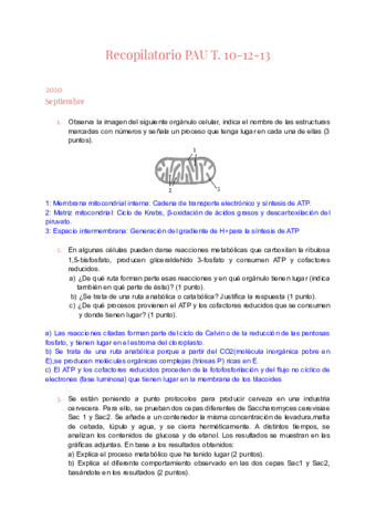 Recopilatorio-PAU-T.pdf