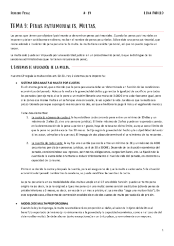 A-Penal-T9.pdf
