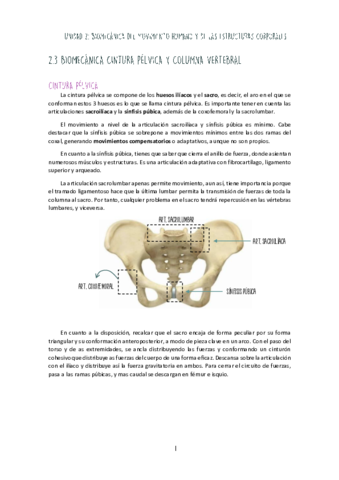 Unidad-II-Cintura-Pelvica.pdf