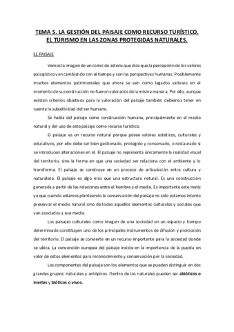 TEMA-5.pdf