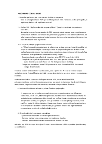 Preguntas-cortas-bases.pdf