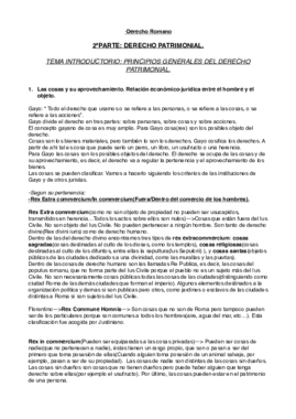 D.Romano(2º Bloque Tema Introductorio).pdf