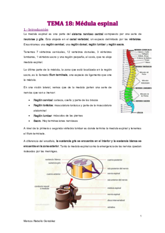 TEMA-18.pdf