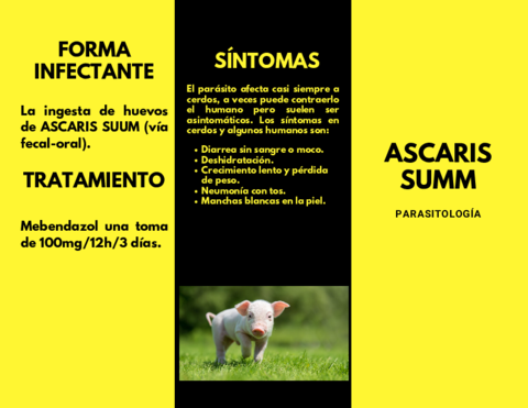 Ascaris-summ.pdf