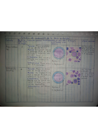 Andamio-1.pdf