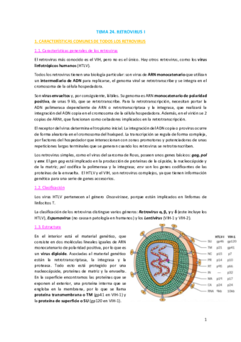 TEMA-24.pdf
