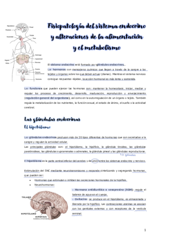 Fisiopatologia-del-sistema-endocrino-y-alteraciones-de-la-alimentacion.pdf