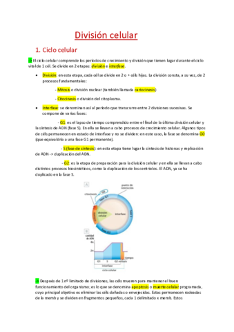 Division-celular.pdf