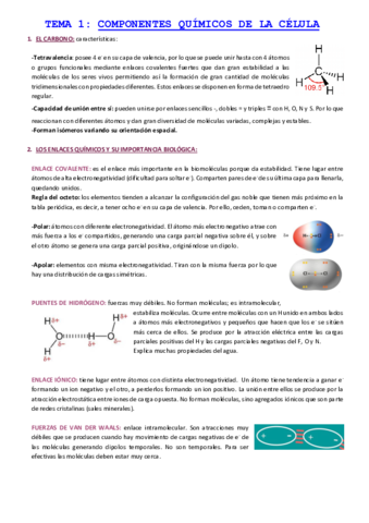 TEMA-1-COMPONENTES-QUIMICOS-DE-LA-CELULA.pdf