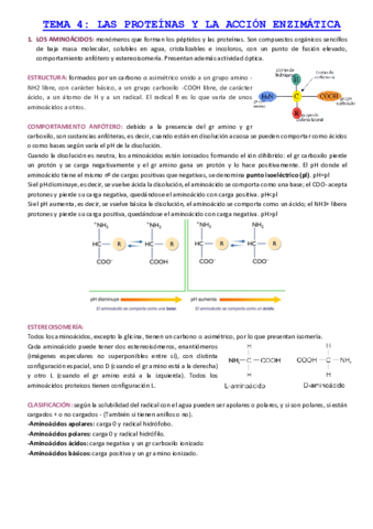 TEMA-4-LAS-PROTEINAS-Y-LA-ACCION-ENZIMATICA-LOS-AMINOACIDOS.pdf
