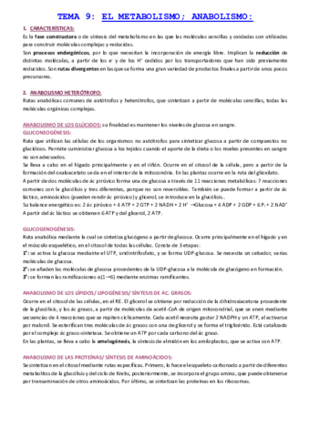 TEMA-9-EL-METABOLISMO-ANABOLISMO.pdf