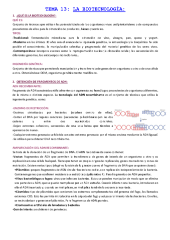 TEMA-13-LA-BIOTECNOLOGIA.pdf