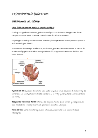FISIOPATOLOGIA-DIGESTIVA.pdf