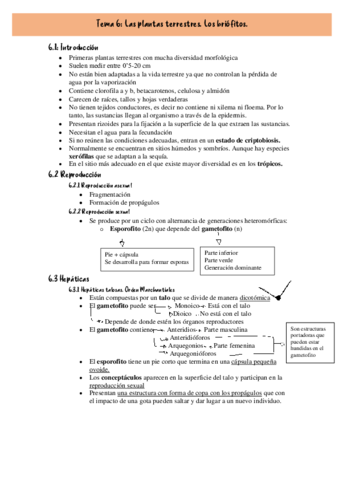Miniatura del documento Botanica-2.pdf