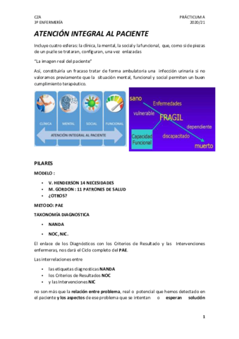 ATENCION-INTEGRAL-AL-PACIENTE.pdf