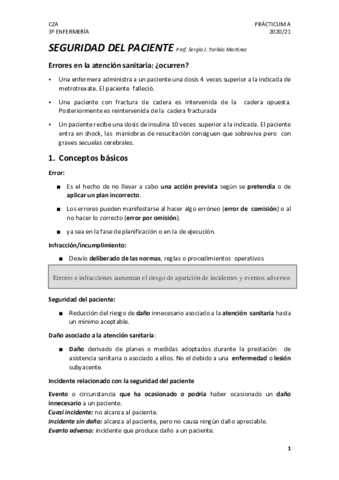 SEGURIDAD-DEL-PACIENTE-Prof.pdf