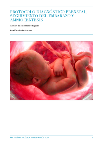 Protocolo-Diagnostico-Prenatal.pdf