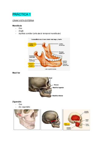 Resum-examen-practiques.pdf