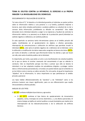 TEMA-XI-Delitos-vs-intimidad.pdf