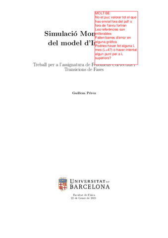 Entrega-Model-dIsing.pdf