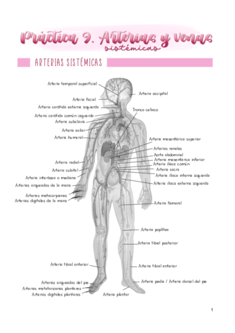 Practica-9.pdf